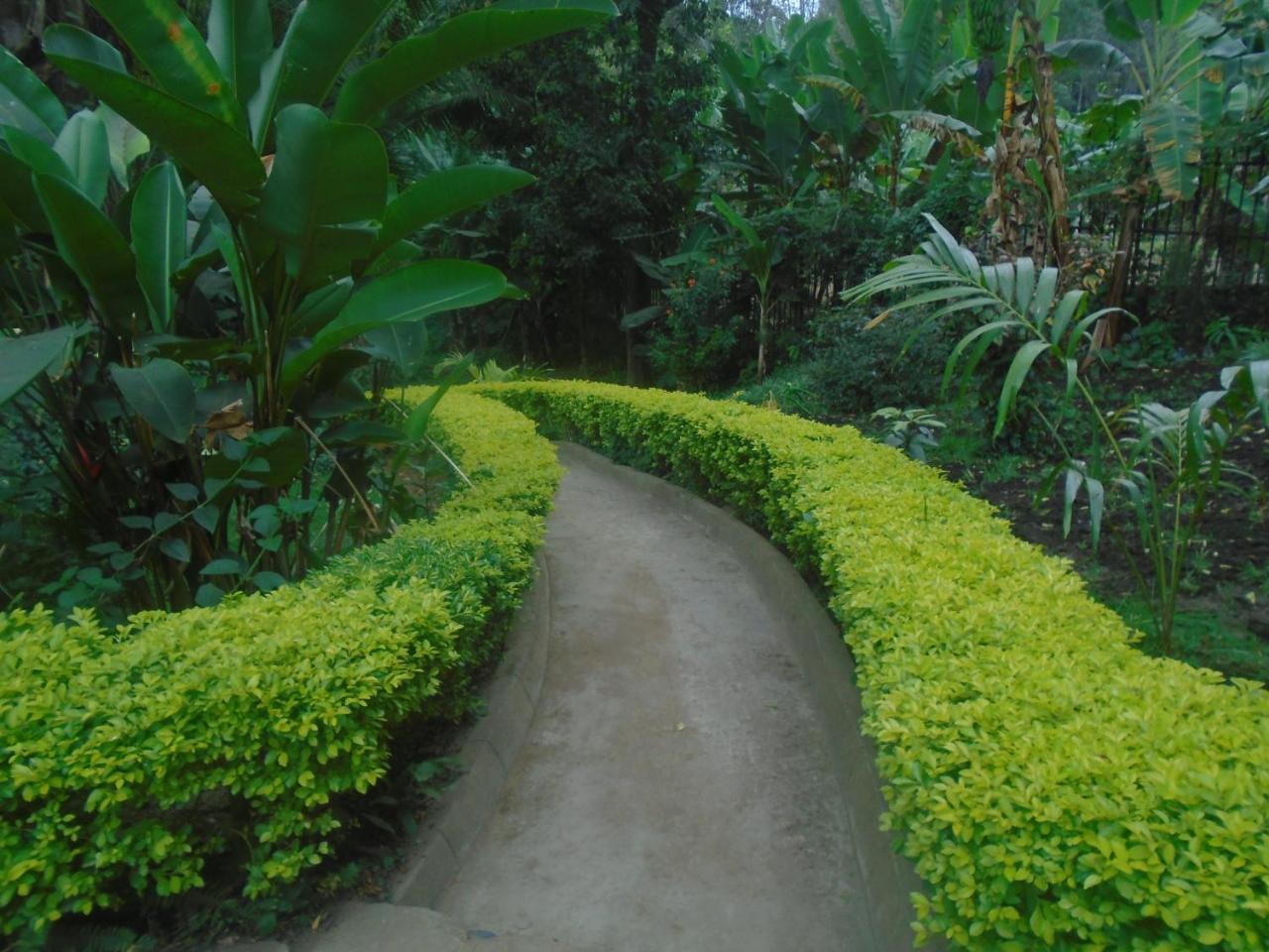 Themi Valley Eco And Cultural Tourism Homestay 아루샤 외부 사진