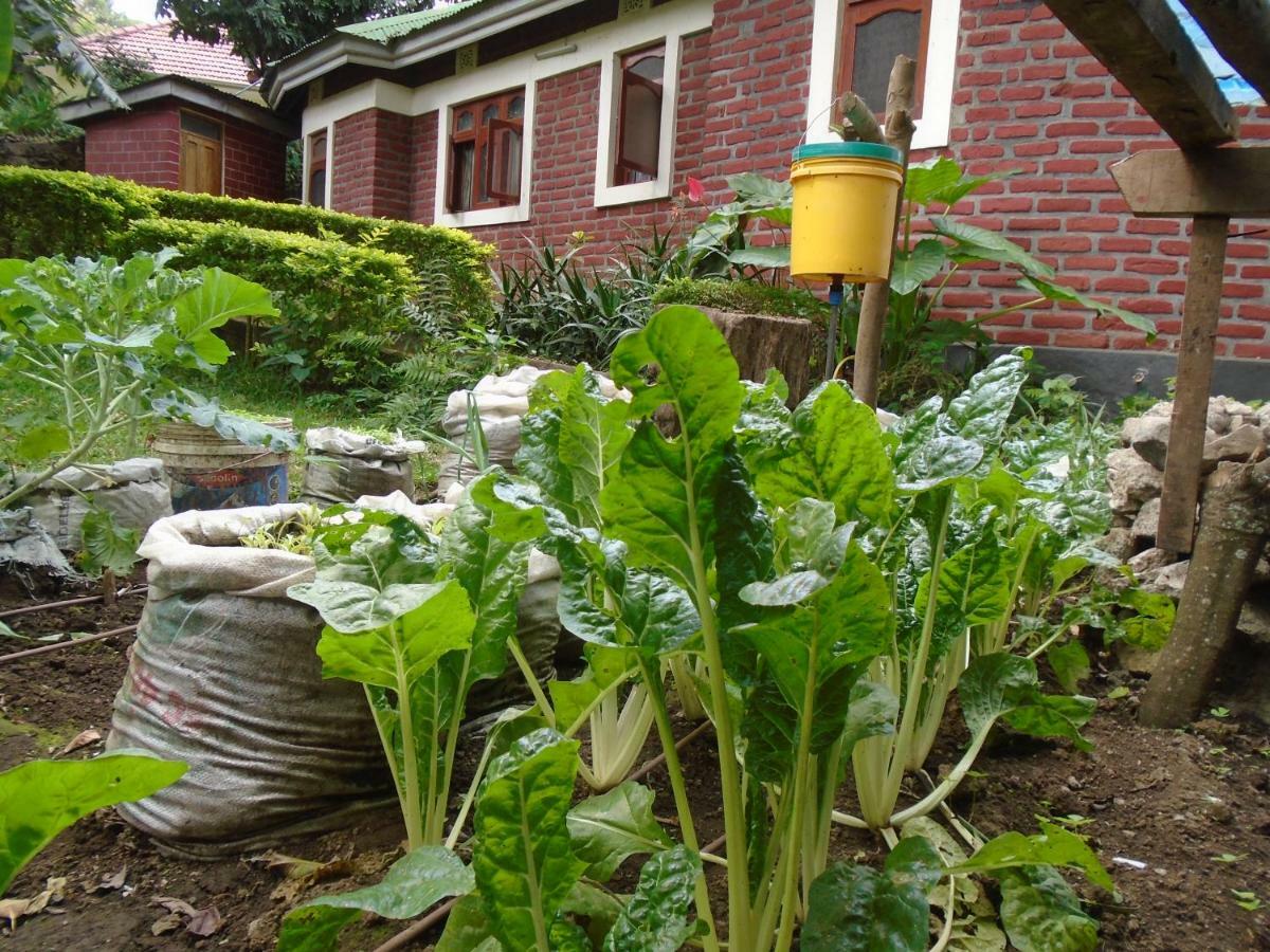 Themi Valley Eco And Cultural Tourism Homestay 아루샤 외부 사진