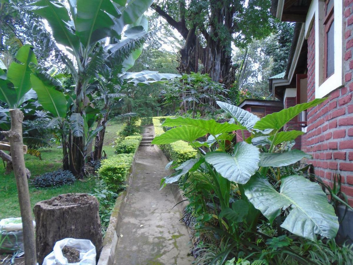 Themi Valley Eco And Cultural Tourism Homestay 아루샤 외부 사진